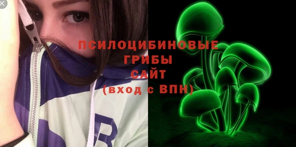 дживик Арсеньев