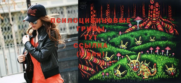 ешки Армянск